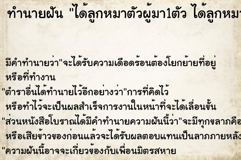 ทำนายฝัน ได้ลูกหมาตัวผู้มา1ตัว ได้ลูกหมาตัวผู้มา1ตัว